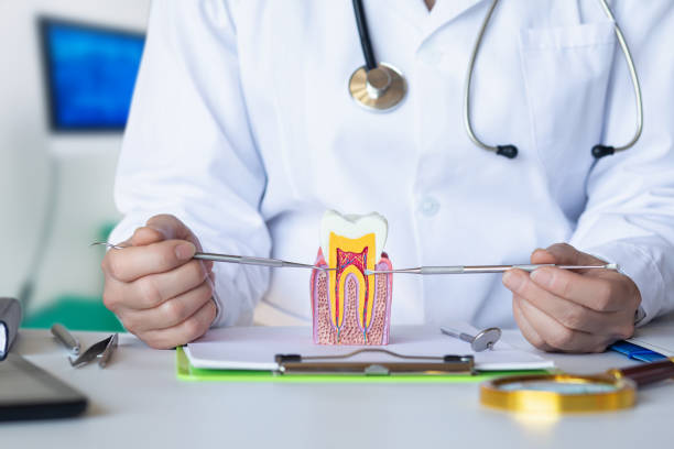 Best Emergency TMJ Treatment in Captain Cook, HI